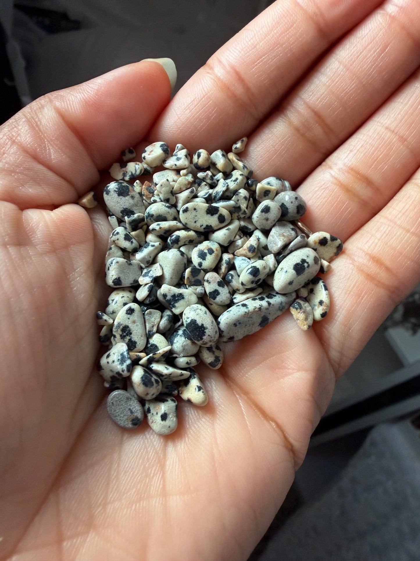 Dalmation Jasper Chips 150g bag