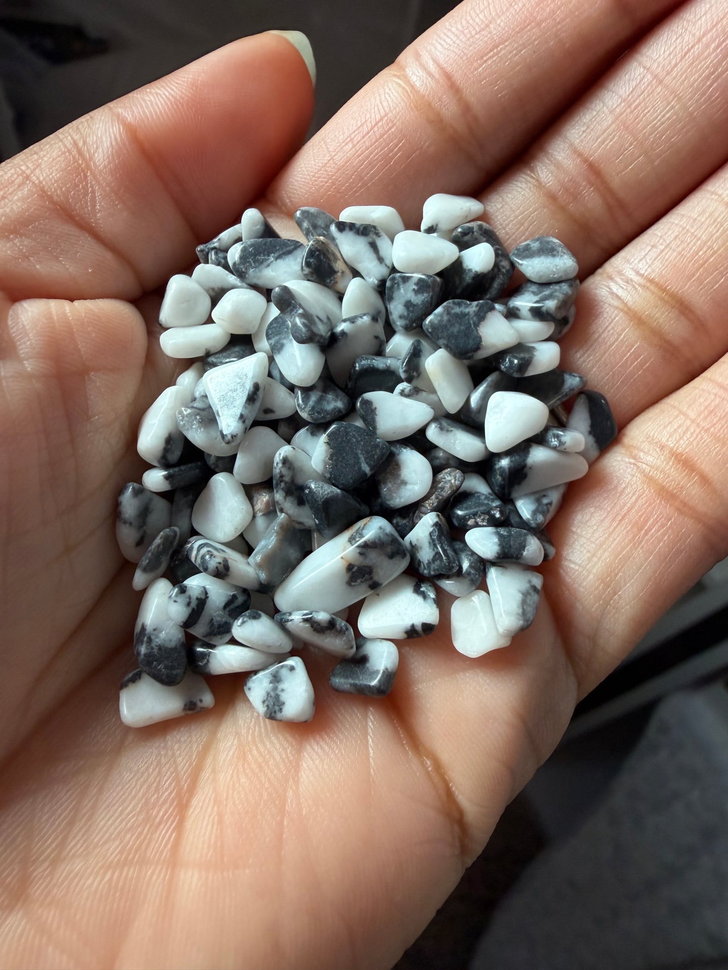 Zebra Jasper Chips 150g bag